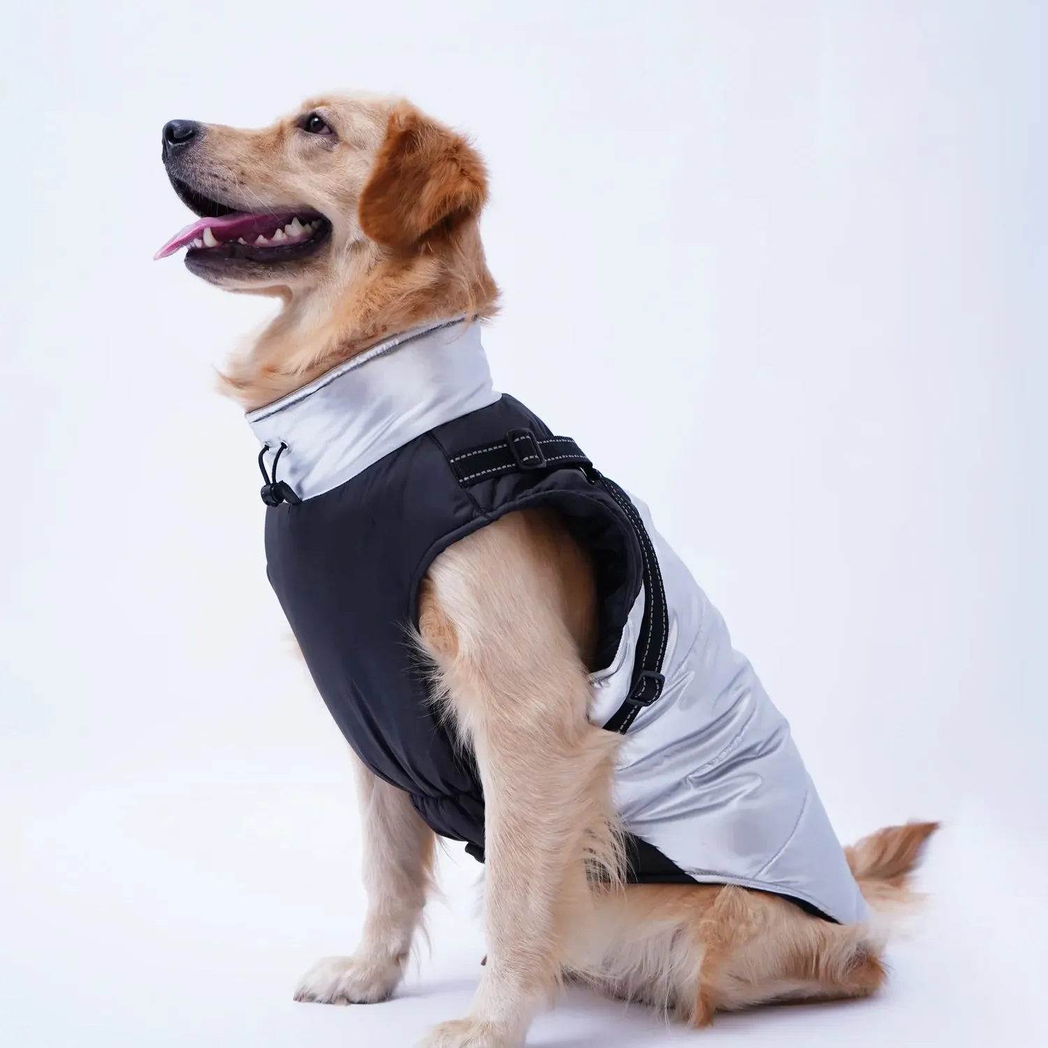 Dog Jacket with Metallic Silver Top, Adjustable Straps, and Zip