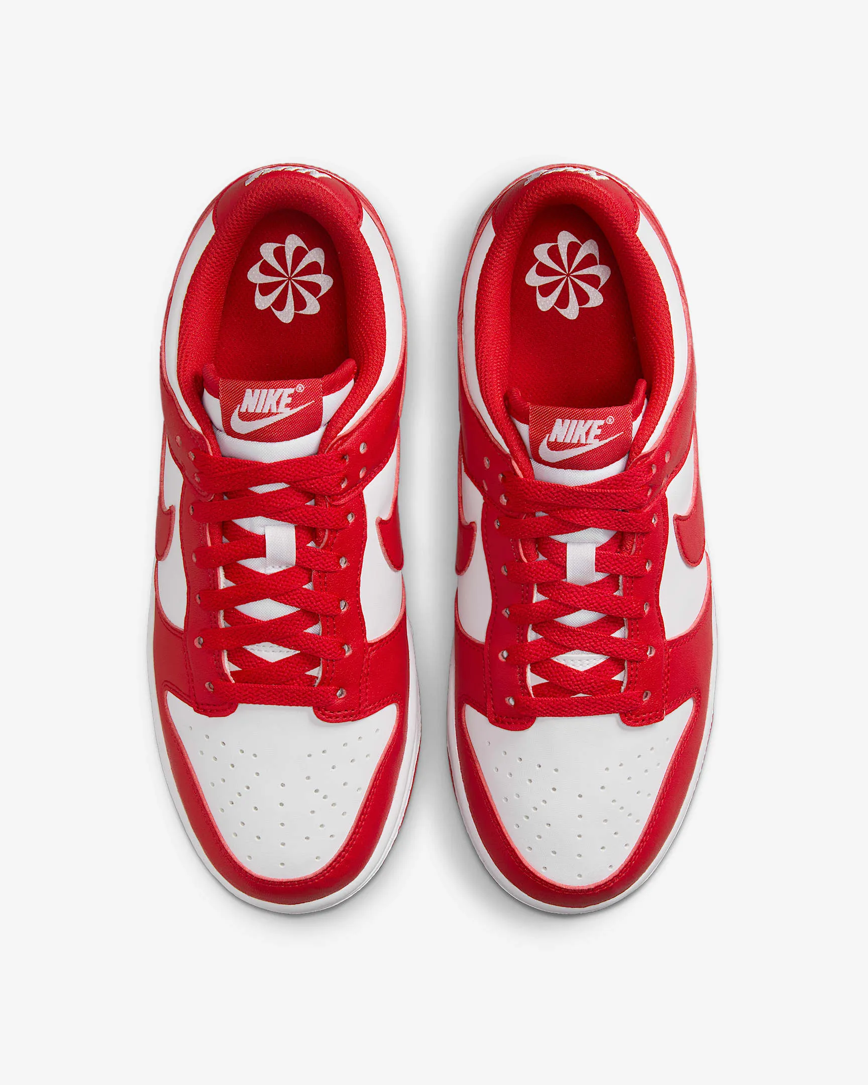 Nike Wmns Dunk Low Next Nature DD1873-116